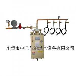 丙烷LPG气化器